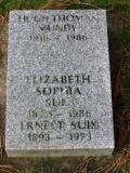 image of grave number 489510